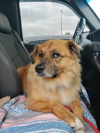 Pet Supply Store «Pet Supplies Plus», reviews and photos, 4824 Broadway St, Quincy, IL 62305, USA