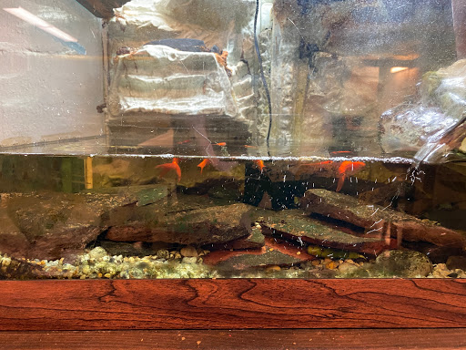 Pet Supply Store «Petco Animal Supplies», reviews and photos, 1141 Wantagh Ave, Wantagh, NY 11793, USA