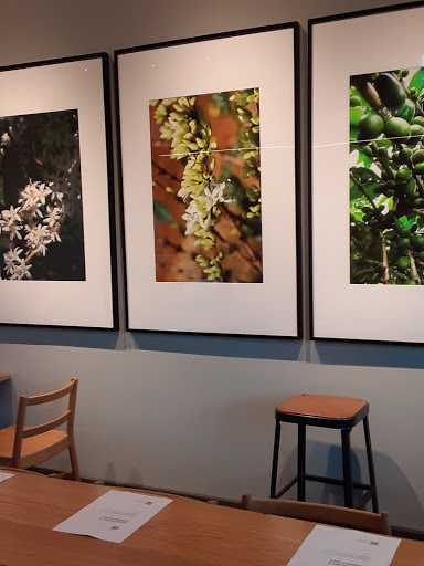 Starbucks image