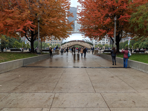 Park «Millennium Park», reviews and photos, 201 E Randolph St, Chicago, IL 60602, USA