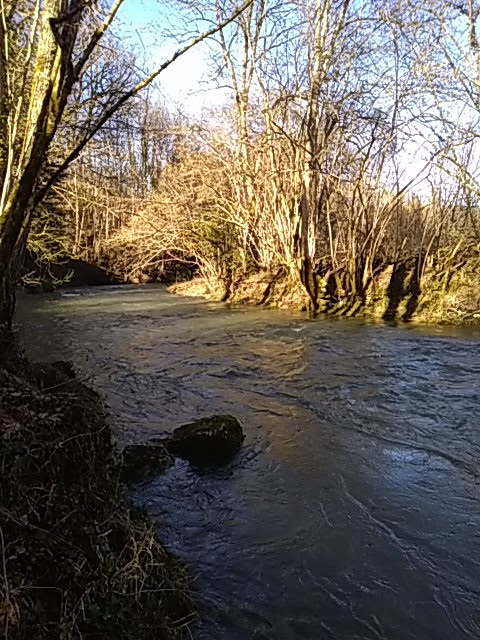 Photo n° 5 de l'avis de gaelle.a fait le 07/02/2018 à 12:28