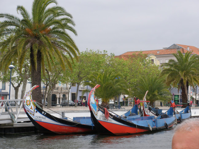 Transdev Aveiro - Serviço de transporte