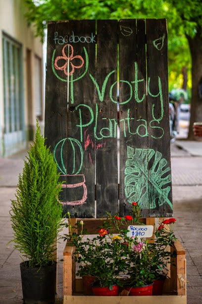 Yvoty Plantas