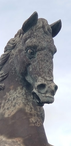 Fabric Store «Boca Bargoons Hallandale Beach», reviews and photos, 202 Old Federal Hwy, Hallandale Beach, FL 33009, USA