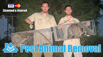 Pest Animal Removal Myrtle Beach