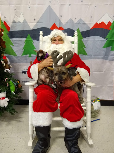 Pet Supply Store «PetSmart», reviews and photos, 6019 Wade Hampton Blvd, Taylors, SC 29687, USA