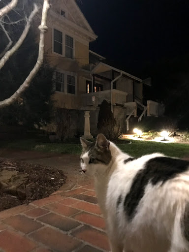 Bed & Breakfast «Showers Inn Bed & Breakfast», reviews and photos, 430 N Washington St, Bloomington, IN 47404, USA