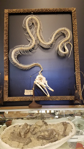 Art Gallery «Dysfunctional Grace Art Co», reviews and photos, 1903 E 7th Ave, Tampa, FL 33605, USA