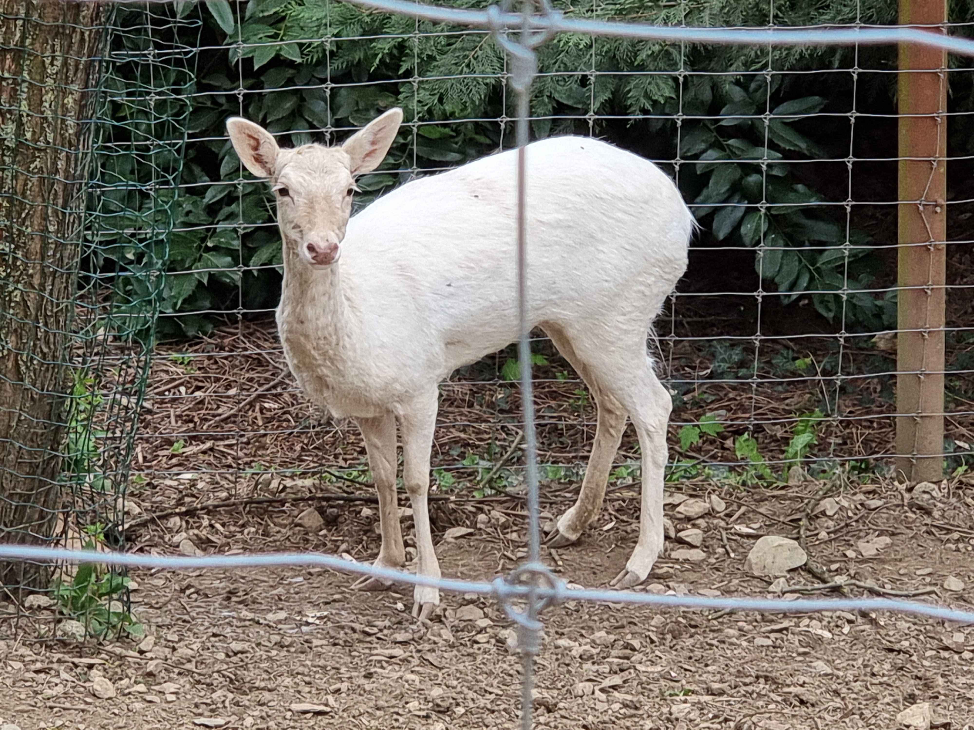 Photo n° 19 de l'avis de Noel.l fait le 12/04/2022 à 13:30