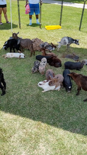 Recreation Center «Riverdale Town Center», reviews and photos, 7210 Church St, Riverdale, GA 30274, USA