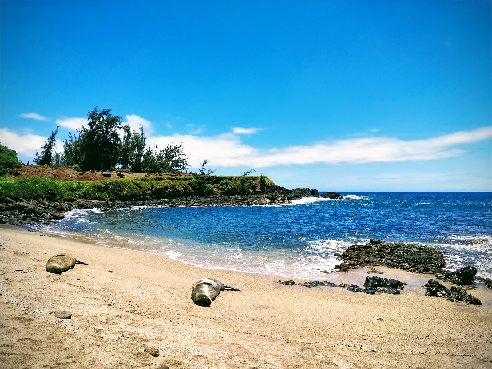 Foto de Glass Beach com areia clara e rochas superfície