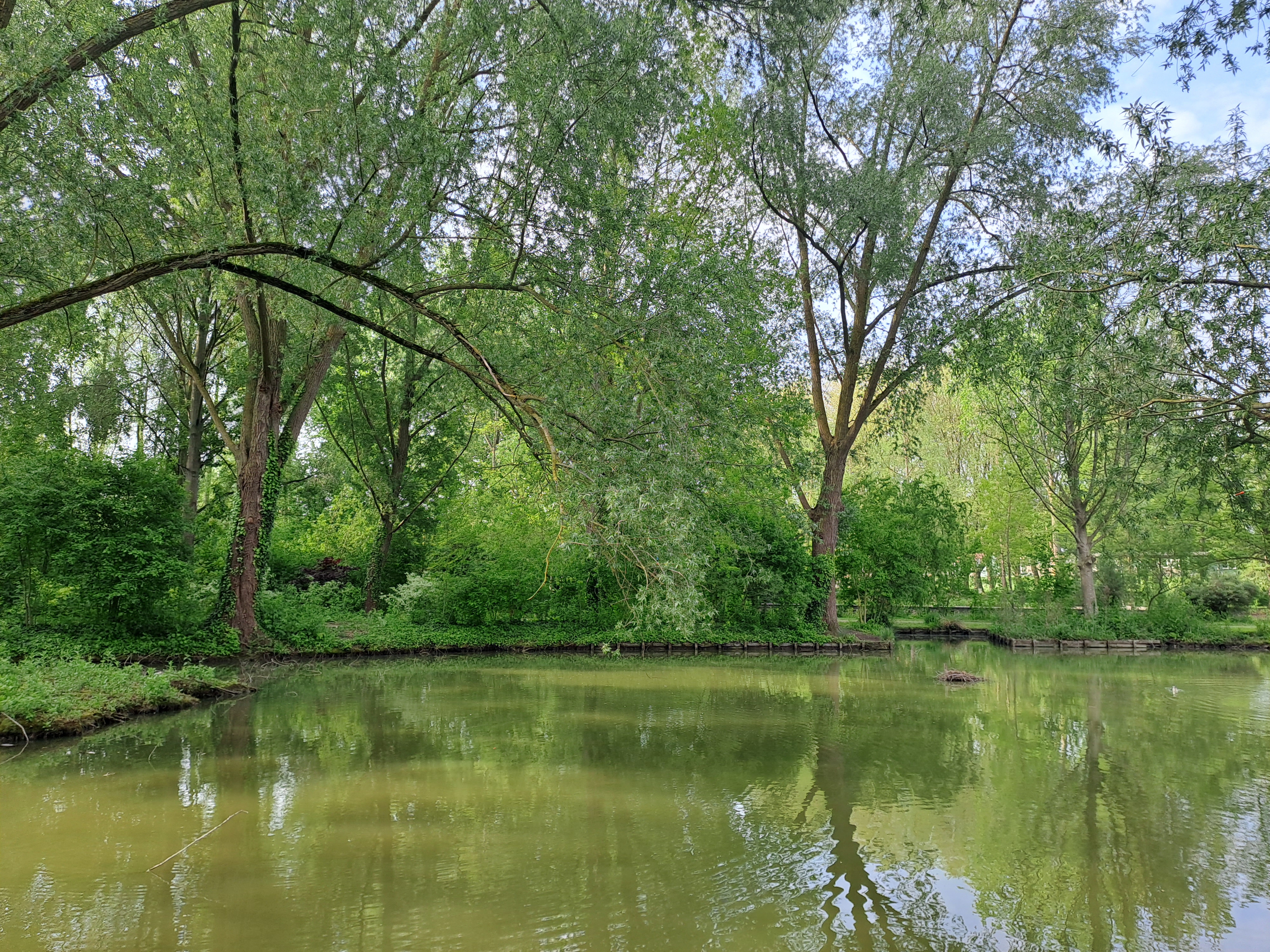 Photo n° 1 de l'avis de simoen.a fait le 14/05/2023 à 13:37