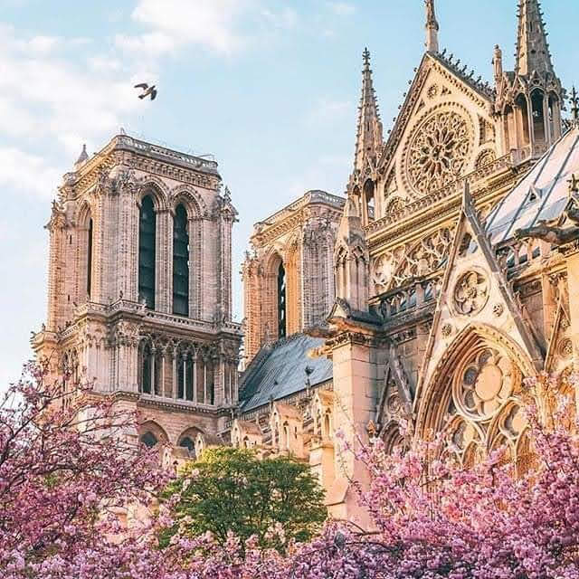 Photo n° 26 de l'avis de Pan.m fait le 21/07/2020 à 16:47