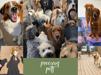 Precious Pets Grooming Salon & Doggie Daycare