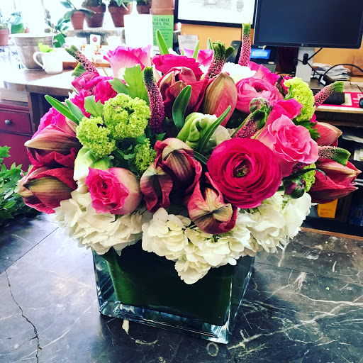 Florist «Jerome Florists», reviews and photos, 1379 Madison Ave, New York, NY 10128, USA