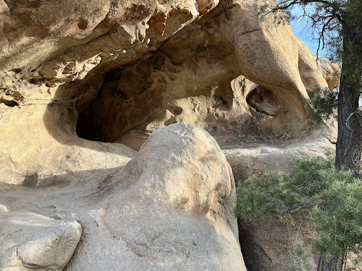 Mojave Guides - Joshua Tree Rock Climbing Guides image