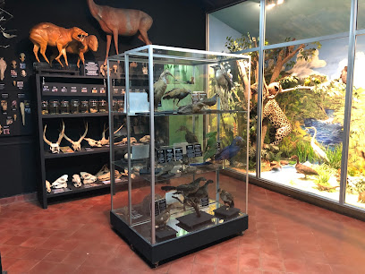 Museo Nacional de Historia Natural del Paraguay