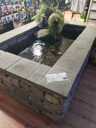 Pet Supply Store «Friend Lee Pets», reviews and photos, 40 Concord Rd, Lee, NH 03861, USA