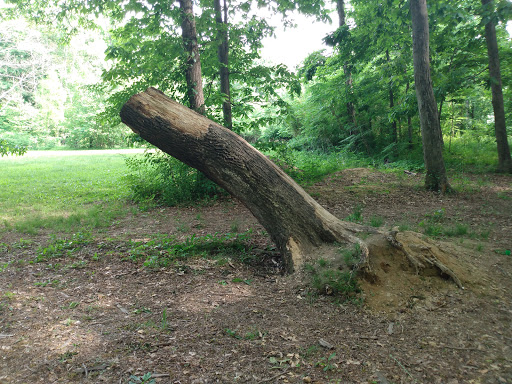 Park «Buffalo Trace Park», reviews and photos, 1540 US-150, Palmyra, IN 47164, USA