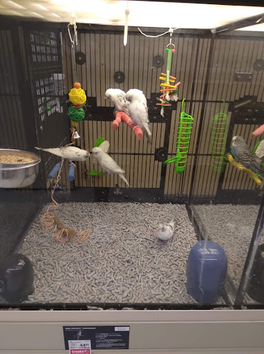 Pet Supply Store «PetSmart», reviews and photos, 3630 Peachtree Pkwy, Suwanee, GA 30024, USA