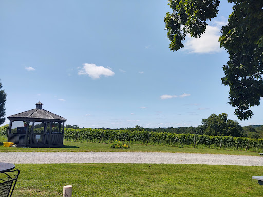 Winery «Sunset Meadow Vineyards», reviews and photos, 599 Old Middle St, Goshen, CT 06756, USA