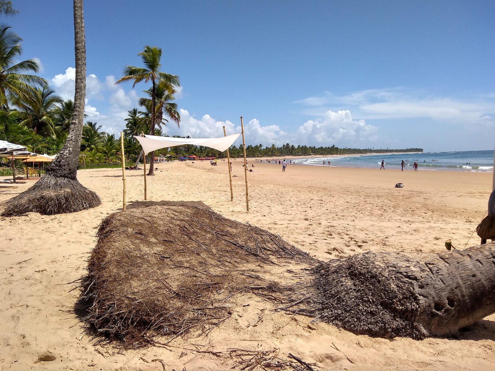 Photo of Taipus de fora beach amenities area