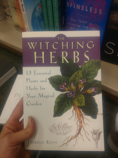 Book Store «Barnes & Noble», reviews and photos, 6510 N Illinois St, Fairview Heights, IL 62208, USA