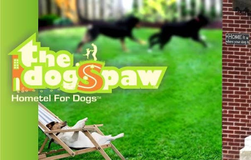 DogSpaw Hometel for Dogs