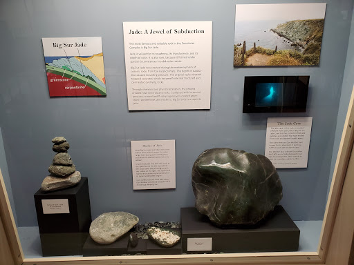 Museum «Pacific Grove Museum of Natural History», reviews and photos