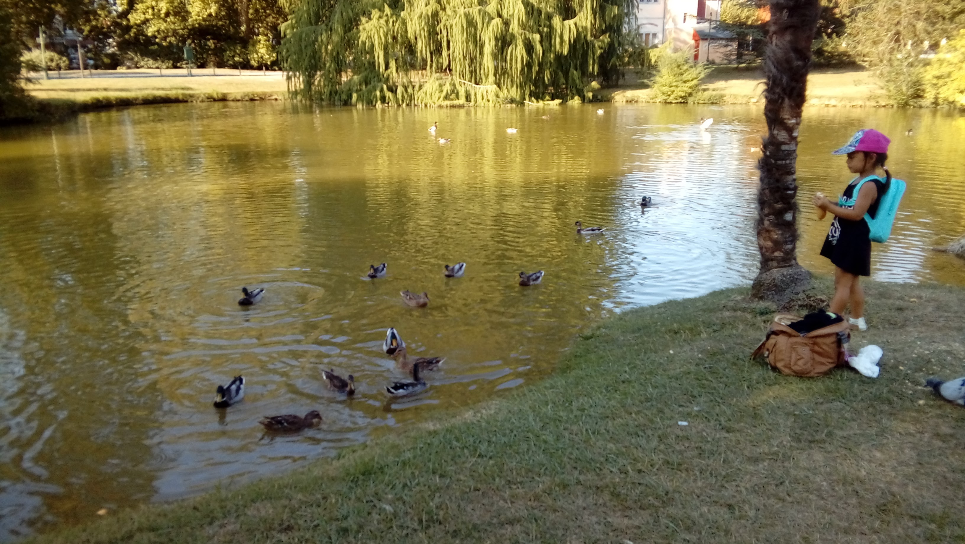 Photo n° 8 de l'avis de Virginie.g fait le 26/09/2017 à 19:23