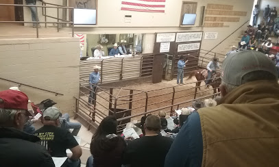 Clovis Livestock Auction