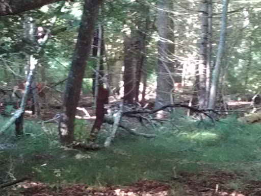 Golf Club «Pocasset Golf Club», reviews and photos, Club House Dr, Pocasset, MA 02559, USA