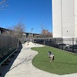 Dog park