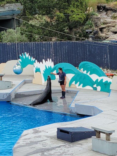 Aquarium «New York Aquarium», reviews and photos, 602 Surf Ave, Brooklyn, NY 11224, USA