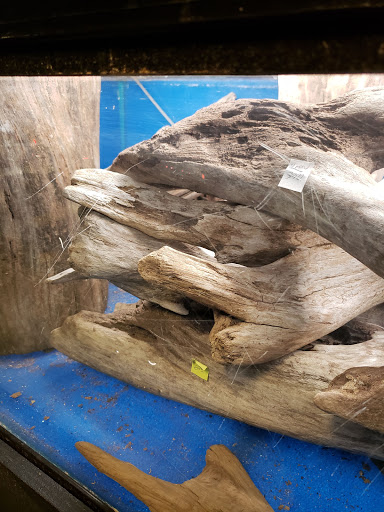 Pet Store «Friendly Pets», reviews and photos, 625 Friendly Center Rd, Greensboro, NC 27408, USA