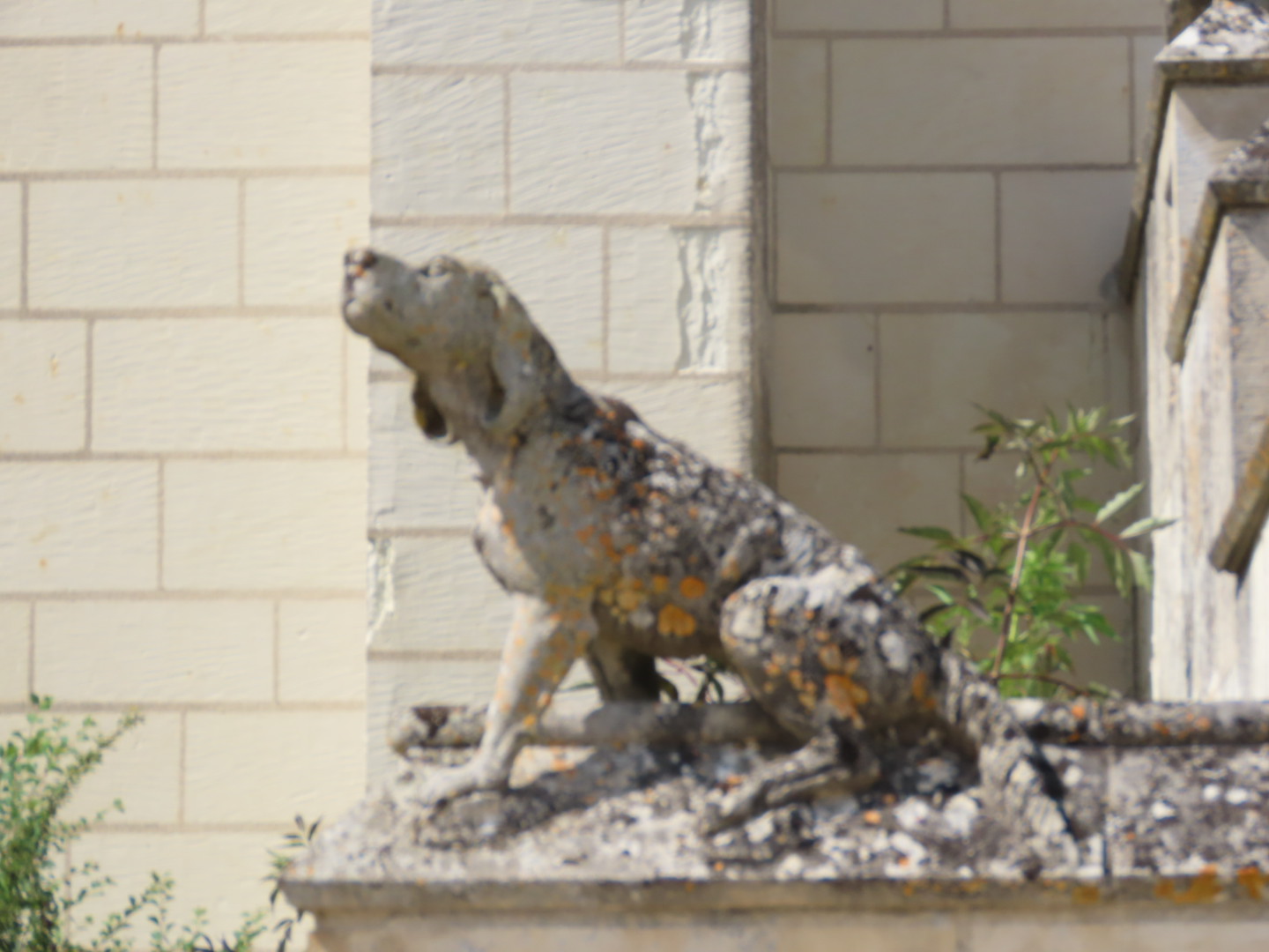 Photo n° 14 de l'avis de Emilie.a fait le 04/07/2023 à 11:54