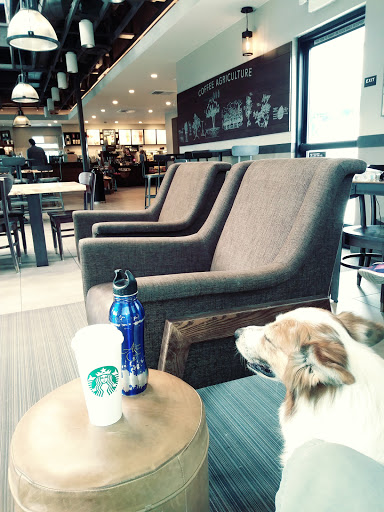 Starbucks image