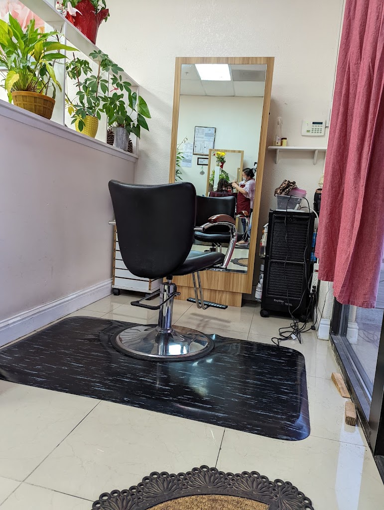 Tina’s Hair and Nail Salon 95691