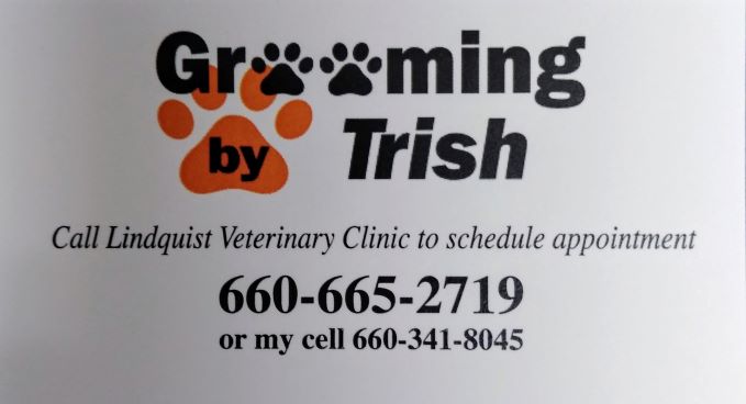 Grooming By Trish