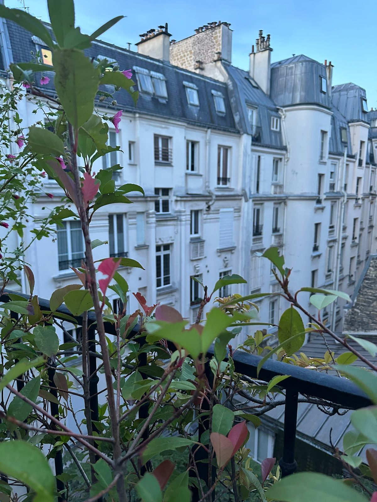 Photo n° 2 de l'avis de Arman.s fait le 19/12/2023 à 12:06
