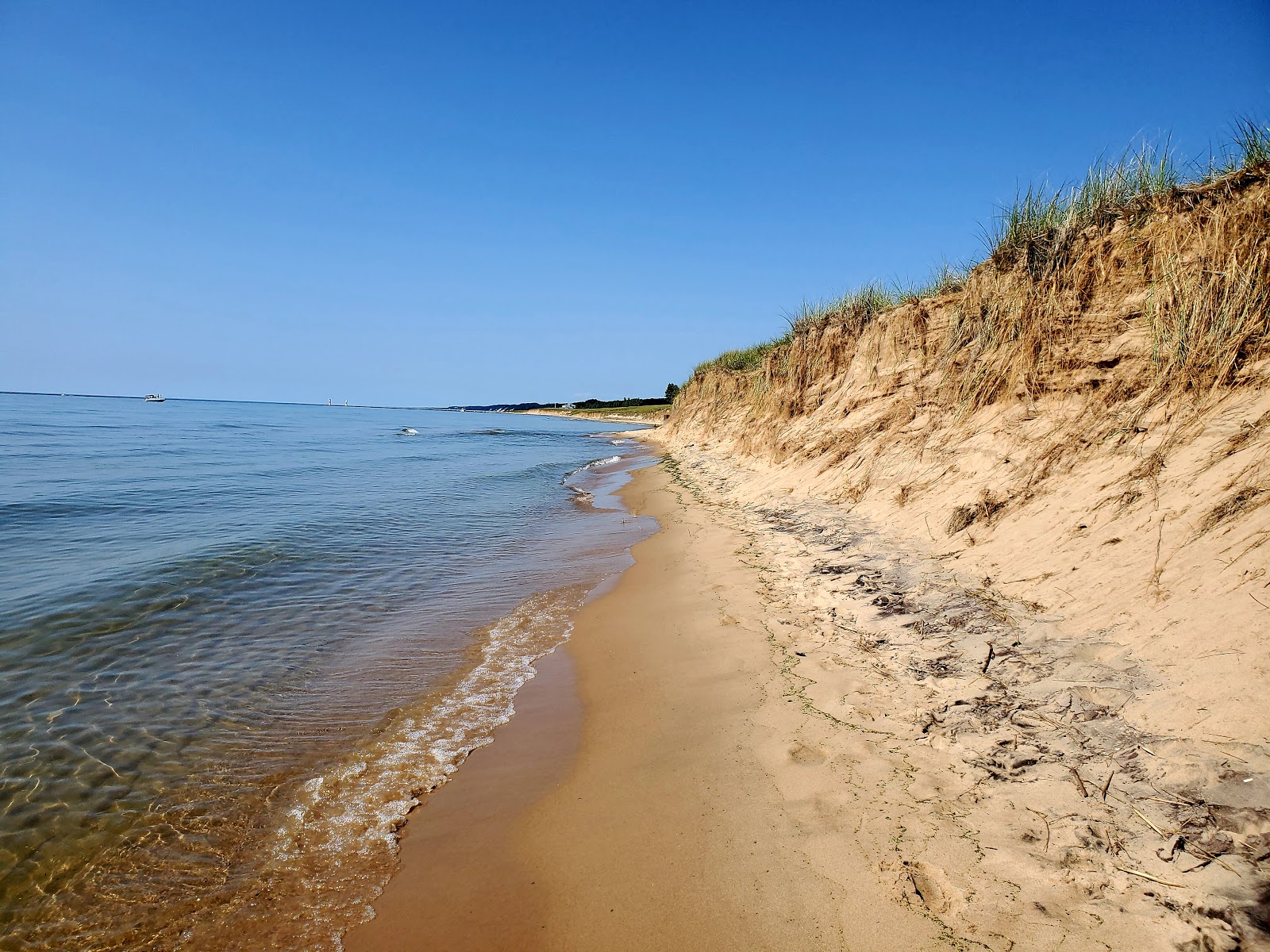 Fotografie cu Oval Beach - locul popular printre cunoscătorii de relaxare