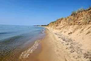 Oval Beach image