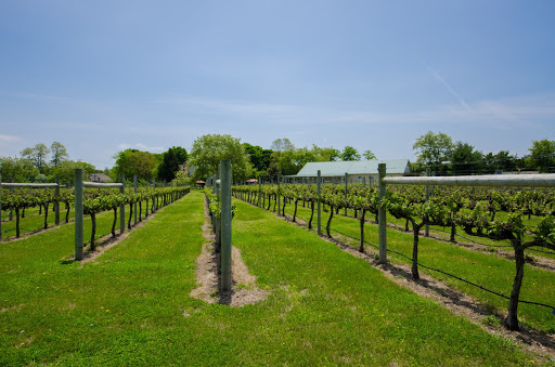 Winery «Jessie Creek Winery», reviews and photos, 1 N Delsea Dr, Cape May Court House, NJ 08210, USA