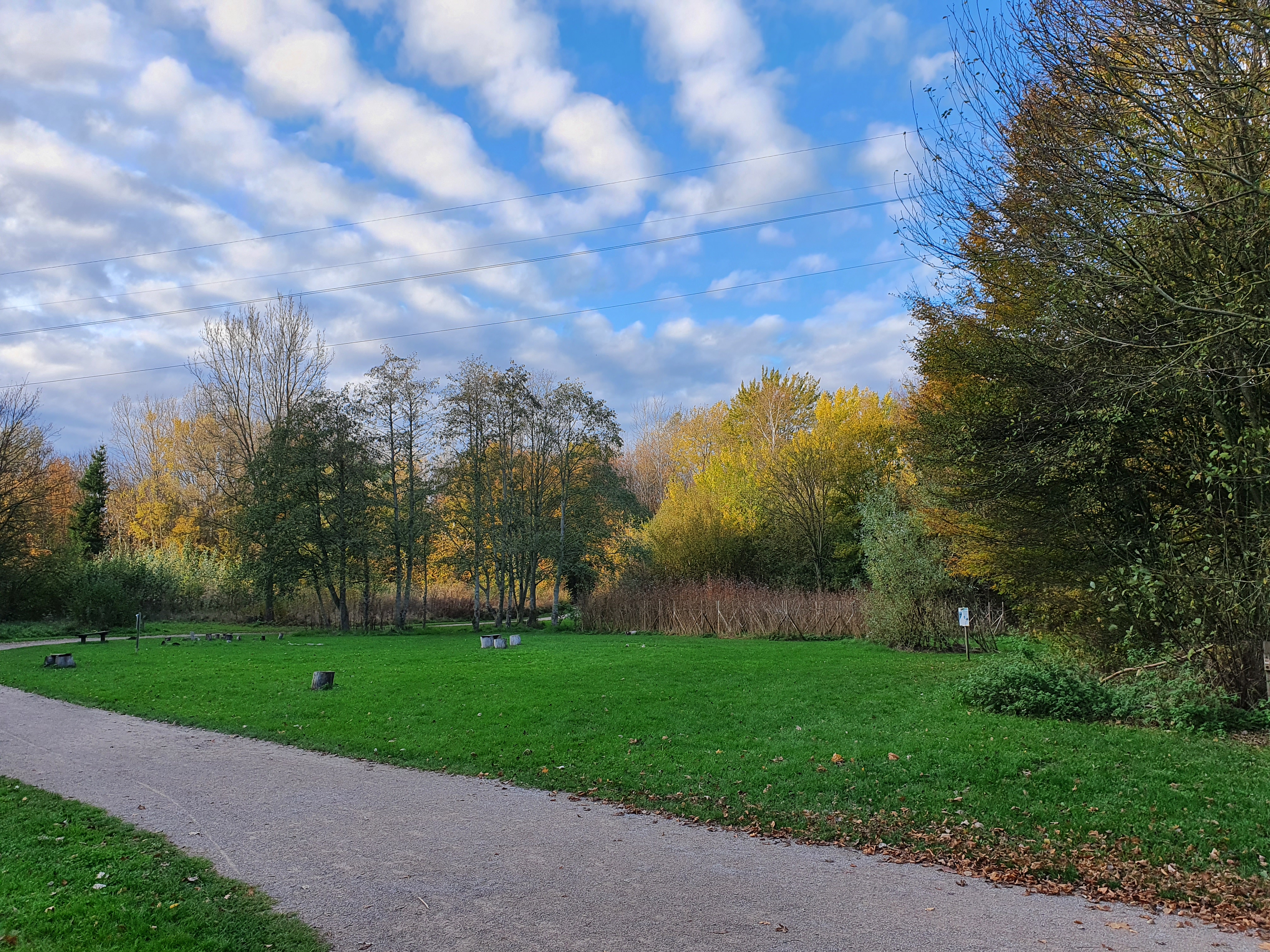 Photo n° 6 de l'avis de Flavie.o fait le 10/11/2020 à 06:58