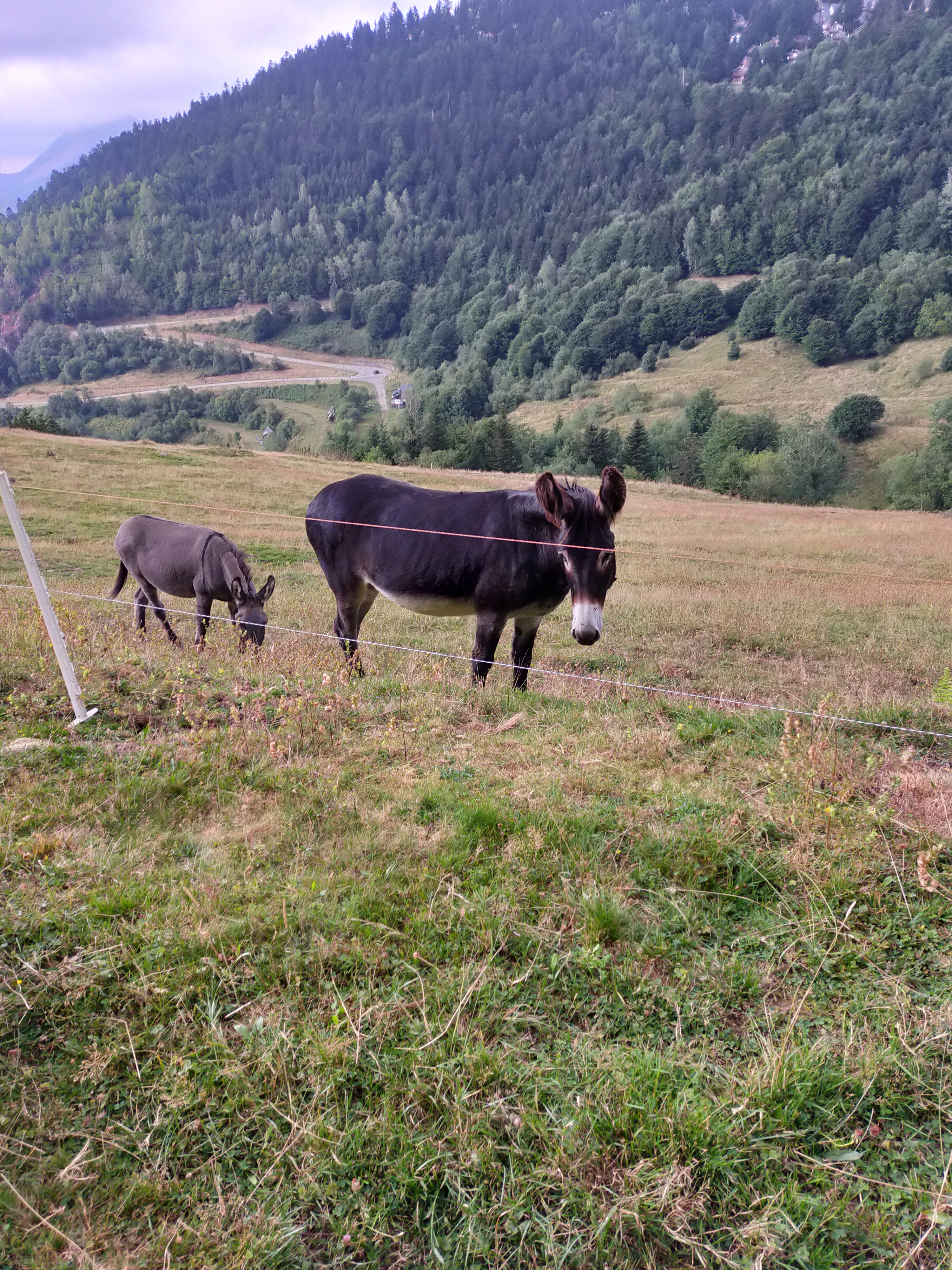 Photo n° 4 de l'avis de jennifer.a fait le 22/08/2022 à 14:45