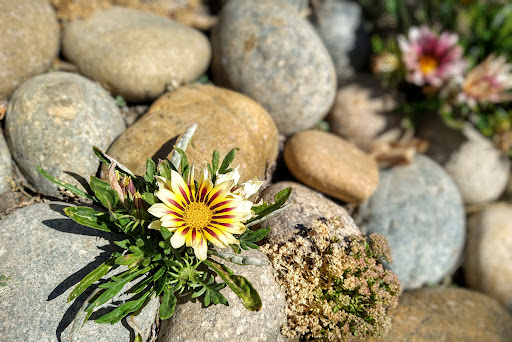 Shopping Mall «Petaluma Village Premium Outlets», reviews and photos, 2200 Petaluma Blvd N, Petaluma, CA 94952, USA