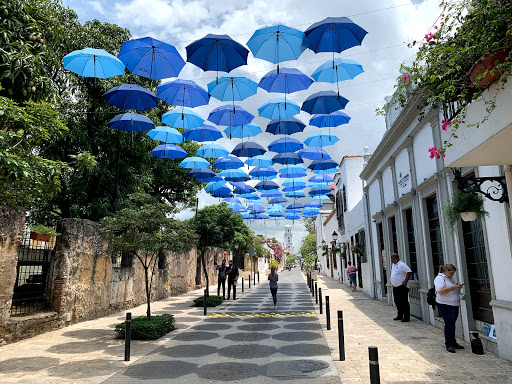 The Blue Umbrellas