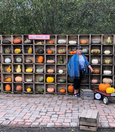 Garden Center «Nalls Produce», reviews and photos, 7310 Beulah St, Alexandria, VA 22315, USA