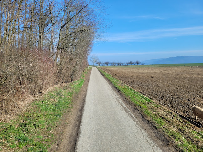 Mathis-Hof Hofladen und Maislabyrinth