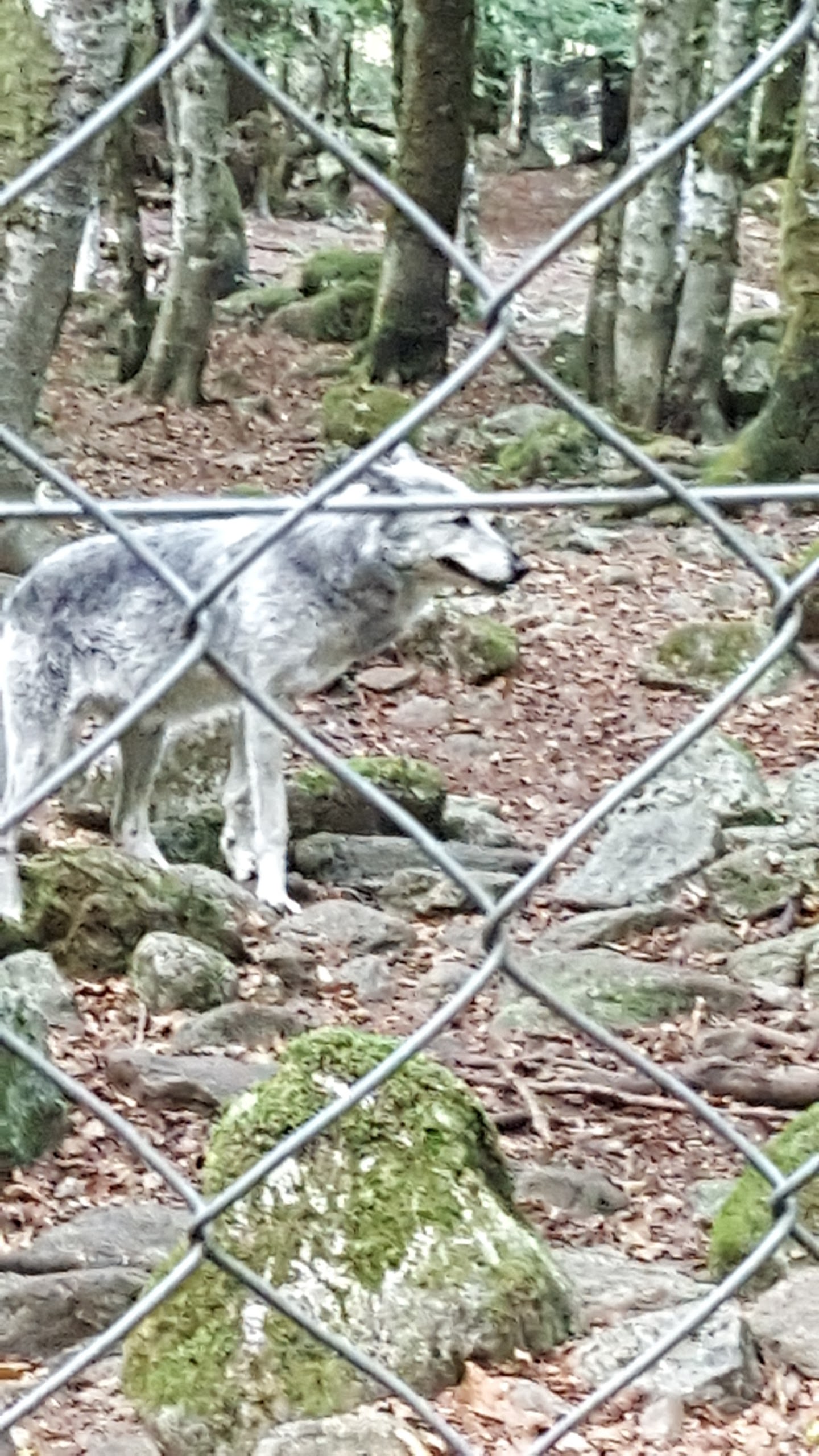 Photo n° 3 de l'avis de seb.a fait le 28/08/2017 à 16:52